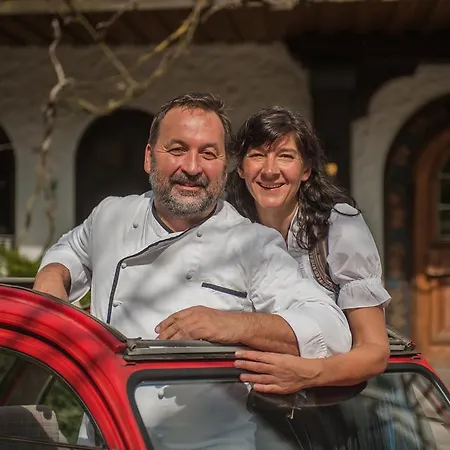 Rebstock Oberkirch (Baden)