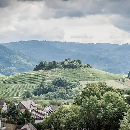 Rebstock Hotel Oberkirch (Baden)